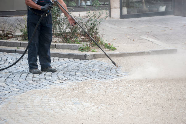 Best Building Exterior Washing  in Arcadia, SC